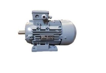 Electric Motors