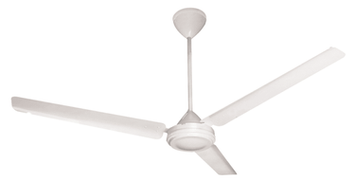 Ceiling Fans