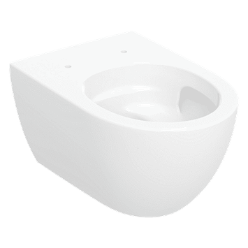 Wall-hung Toilet